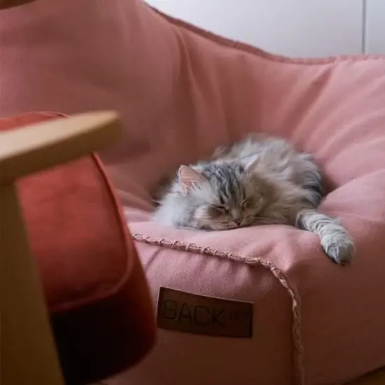 Cobana Rose säkkituoli