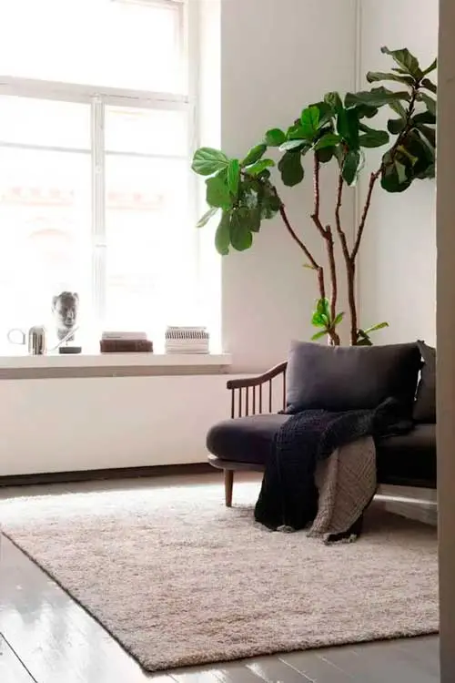 Matto Long Pile viscose