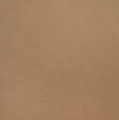 Nojatuoli Eye, tammi, nahka Sienna