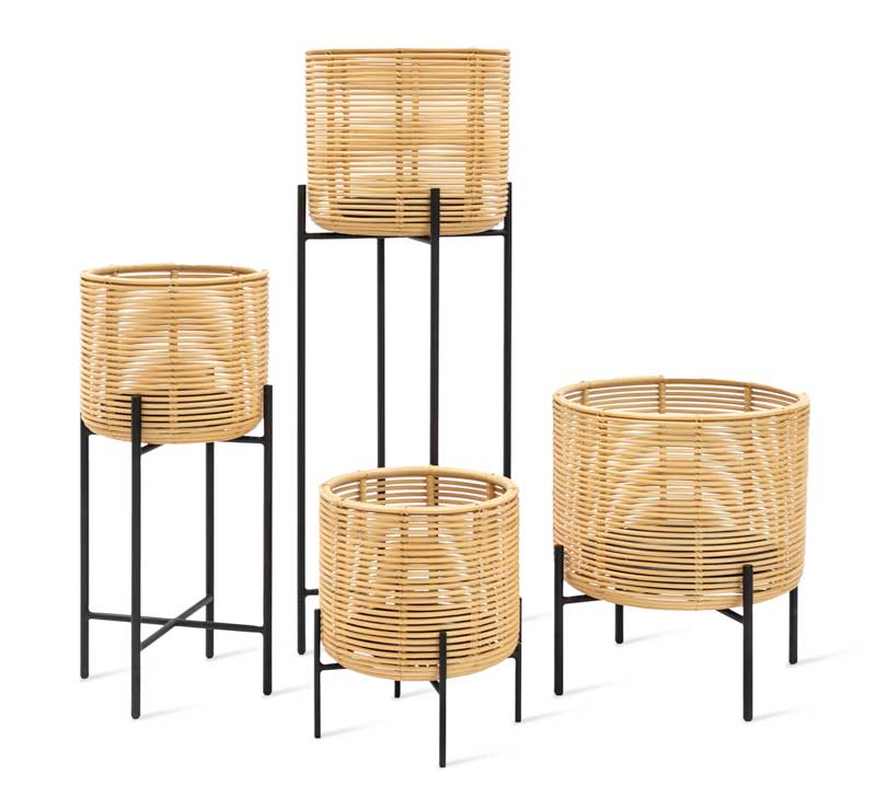 Kukkateline Vivi, L, Rottinki