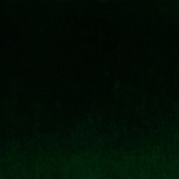 Oliver tuoli jaloilla, PG 3, Classic velvet 15 green